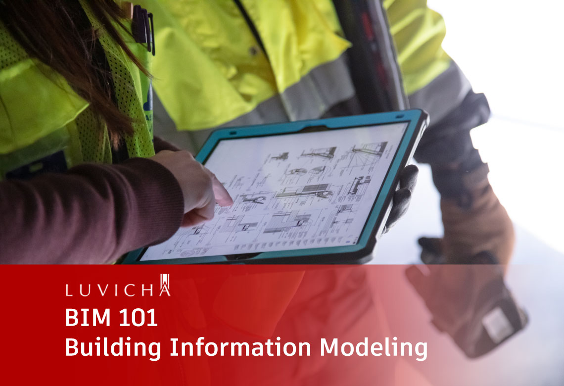 BIM 101